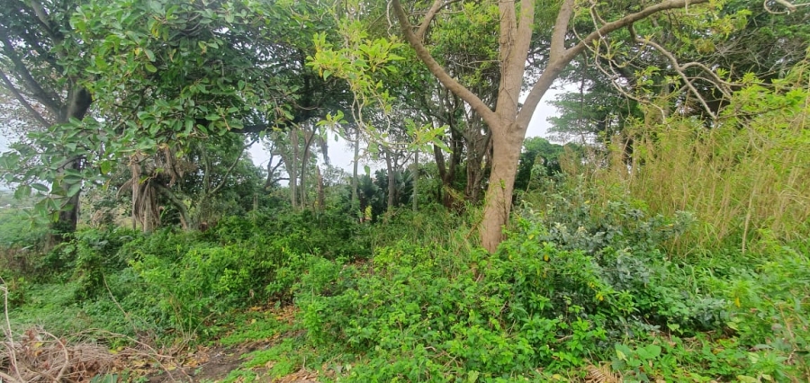0 Bedroom Property for Sale in Ramsgate KwaZulu-Natal