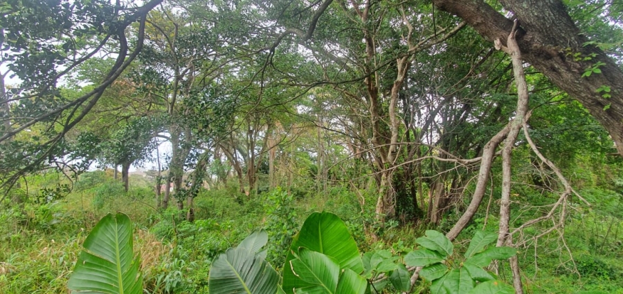 0 Bedroom Property for Sale in Ramsgate KwaZulu-Natal