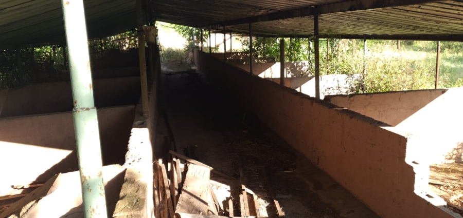 4 Bedroom Property for Sale in Camperdown Rural KwaZulu-Natal