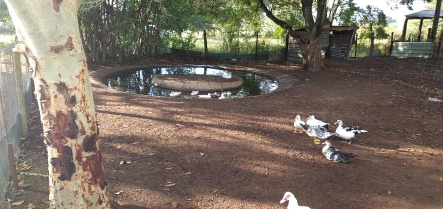 4 Bedroom Property for Sale in Camperdown Rural KwaZulu-Natal