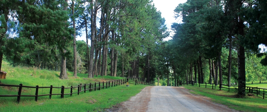 8 Bedroom Property for Sale in Nottingham Road KwaZulu-Natal