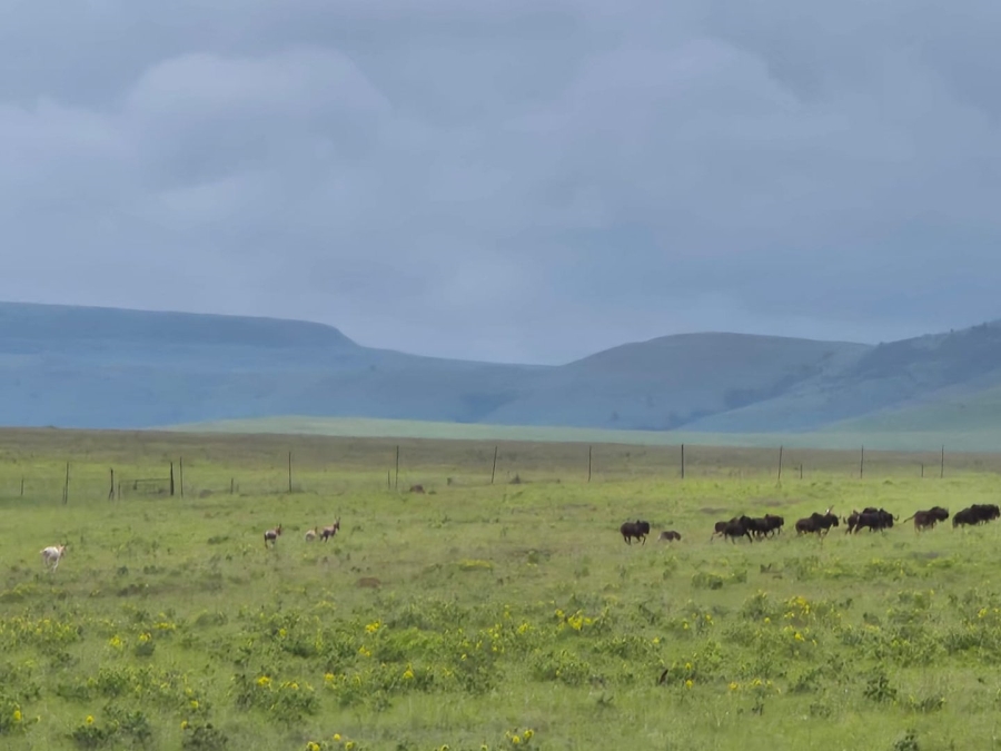 6 Bedroom Property for Sale in Newcastle Rural KwaZulu-Natal