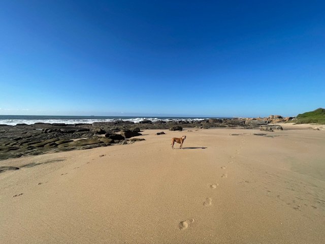 2 Bedroom Property for Sale in Margate KwaZulu-Natal