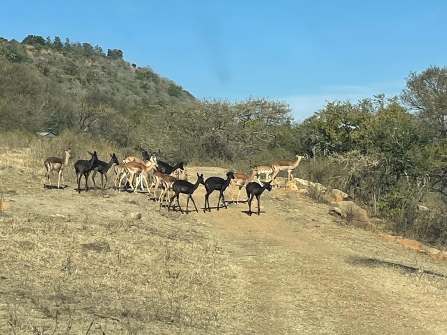  Bedroom Property for Sale in Tugela Ferry Rural KwaZulu-Natal