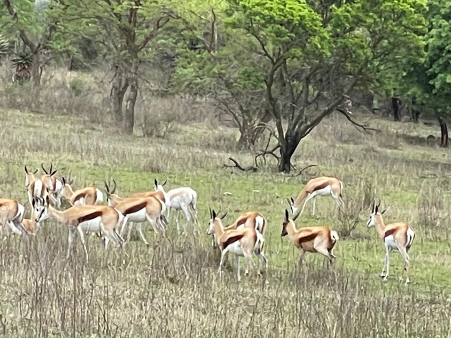  Bedroom Property for Sale in Tugela Ferry Rural KwaZulu-Natal