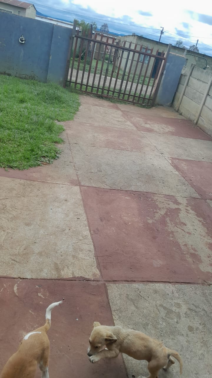 1 Bedroom Property for Sale in Sithembile KwaZulu-Natal