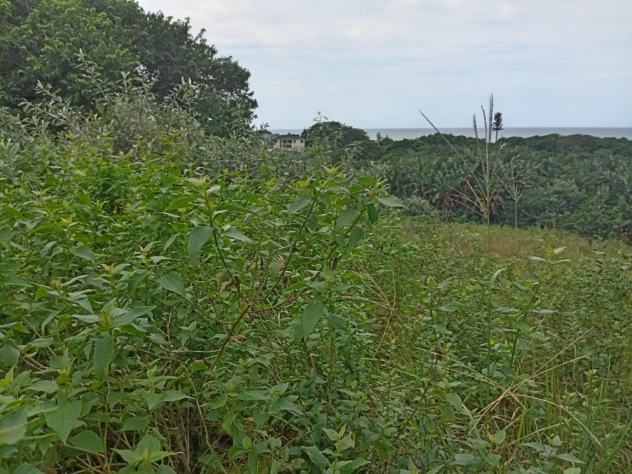  Bedroom Property for Sale in Shelly Beach KwaZulu-Natal