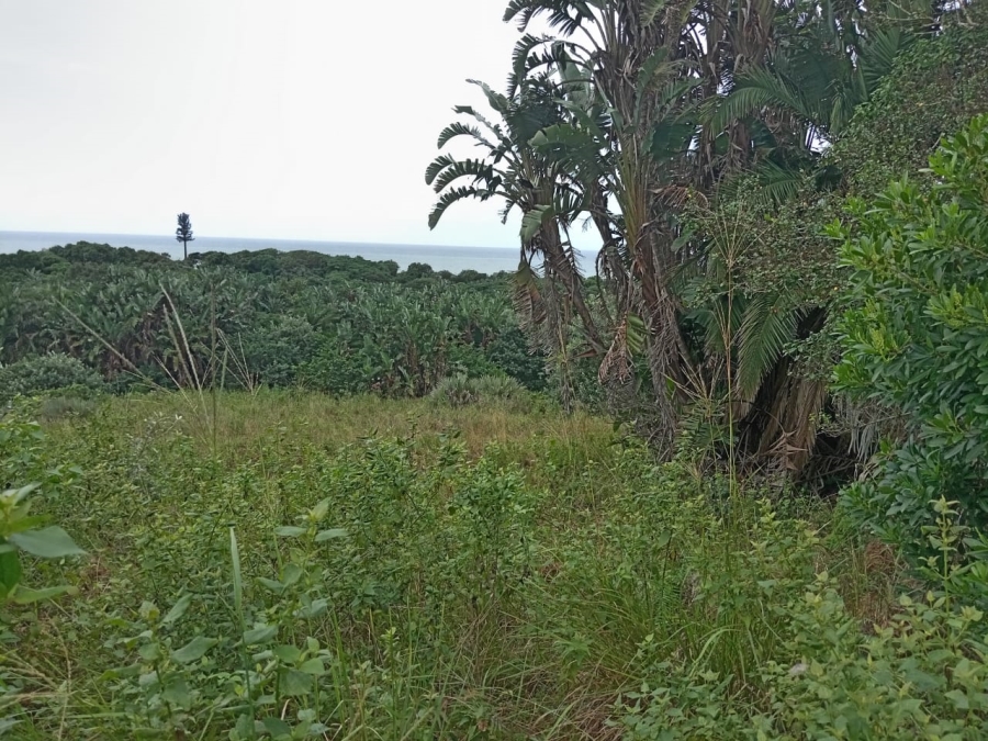  Bedroom Property for Sale in Shelly Beach KwaZulu-Natal