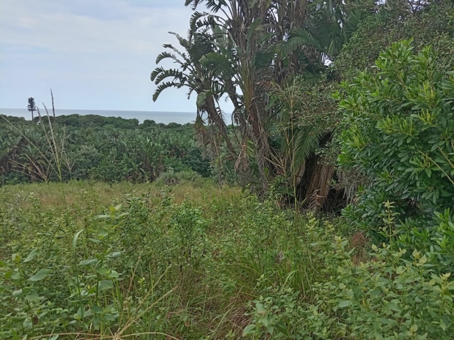  Bedroom Property for Sale in Shelly Beach KwaZulu-Natal
