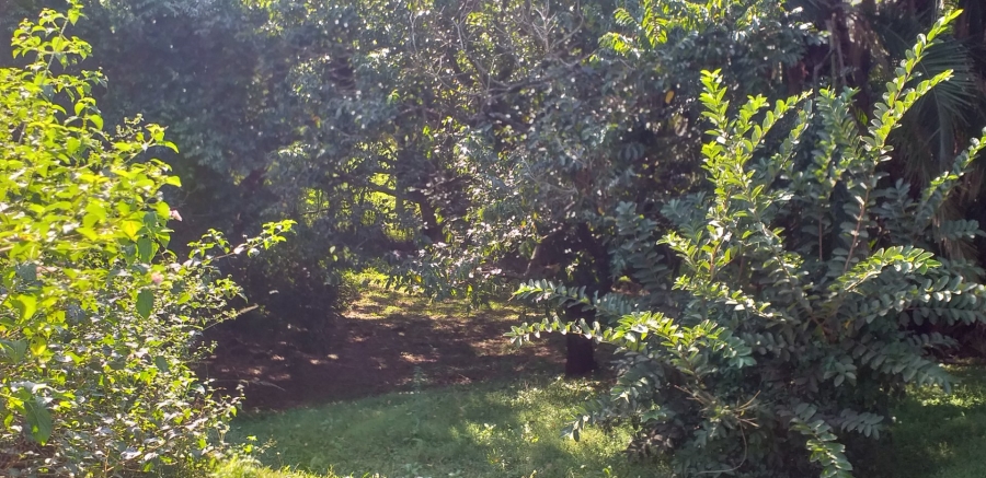  Bedroom Property for Sale in Catalina Bay KwaZulu-Natal