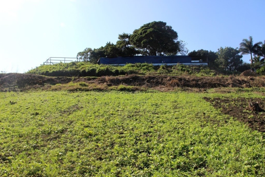 4 Bedroom Property for Sale in Marina Beach KwaZulu-Natal