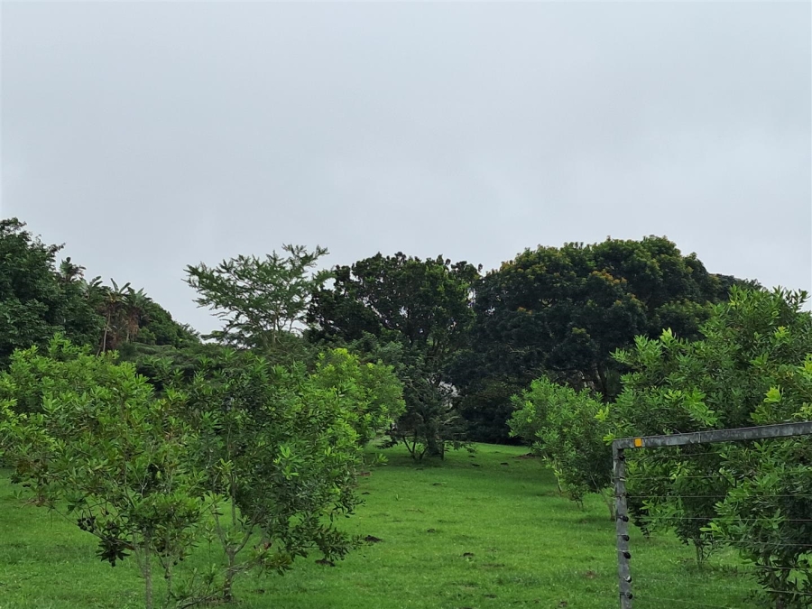 4 Bedroom Property for Sale in Paddock KwaZulu-Natal