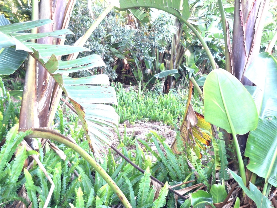  Bedroom Property for Sale in Palm Beach KwaZulu-Natal