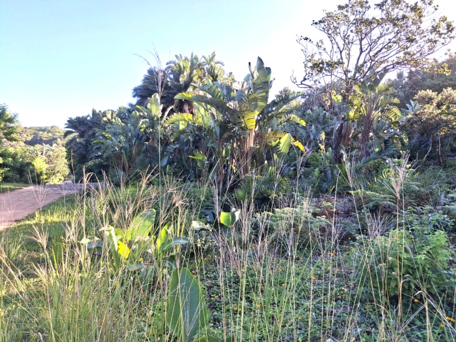  Bedroom Property for Sale in Palm Beach KwaZulu-Natal