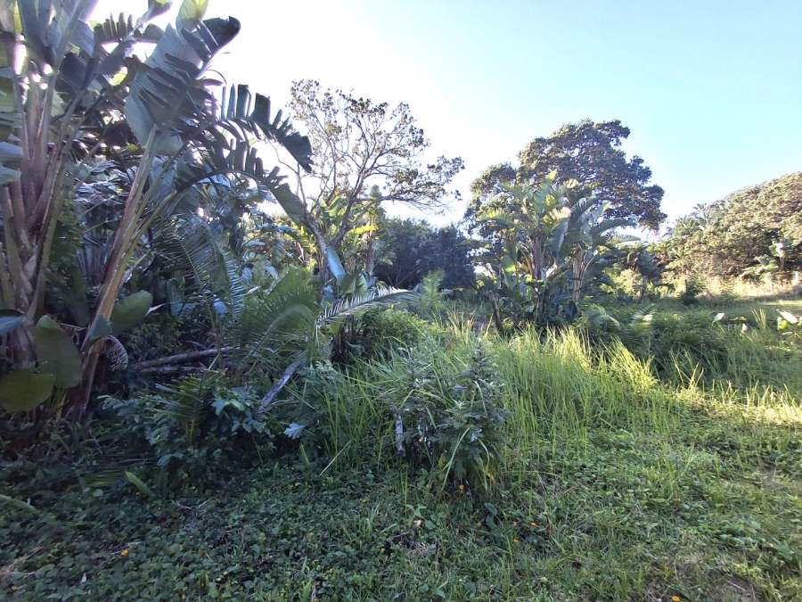  Bedroom Property for Sale in Palm Beach KwaZulu-Natal