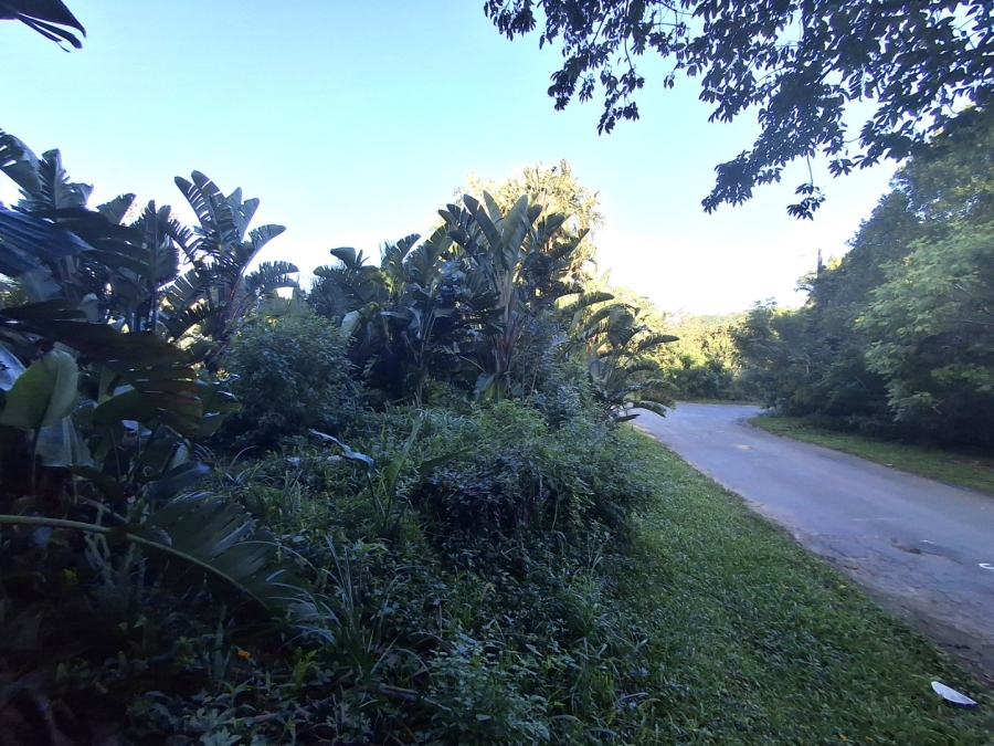  Bedroom Property for Sale in Palm Beach KwaZulu-Natal