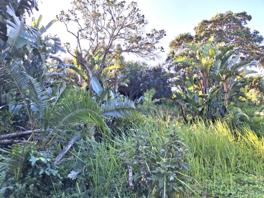  Bedroom Property for Sale in Palm Beach KwaZulu-Natal