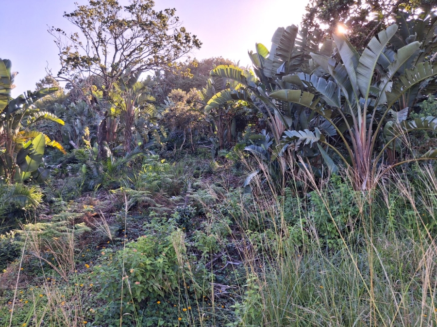  Bedroom Property for Sale in Palm Beach KwaZulu-Natal