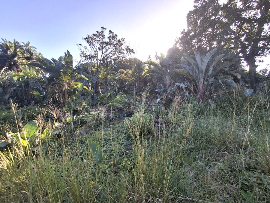  Bedroom Property for Sale in Palm Beach KwaZulu-Natal