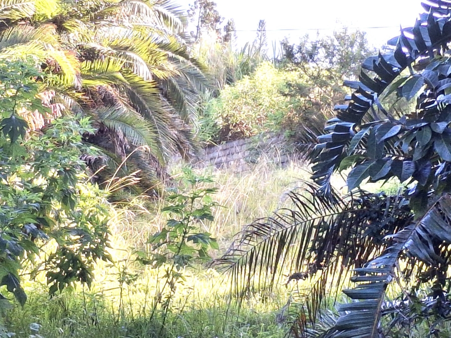  Bedroom Property for Sale in Palm Beach KwaZulu-Natal