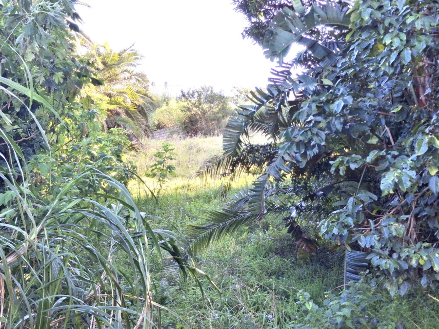  Bedroom Property for Sale in Palm Beach KwaZulu-Natal