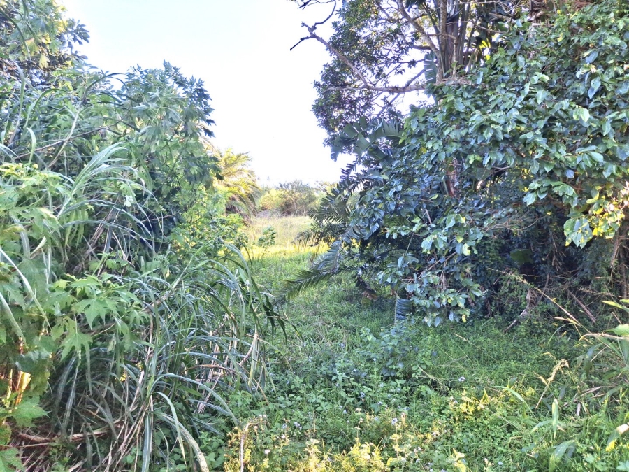  Bedroom Property for Sale in Palm Beach KwaZulu-Natal