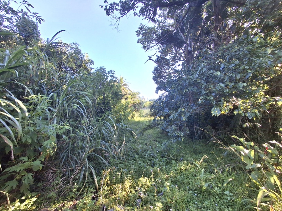  Bedroom Property for Sale in Palm Beach KwaZulu-Natal