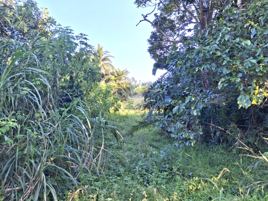  Bedroom Property for Sale in Palm Beach KwaZulu-Natal