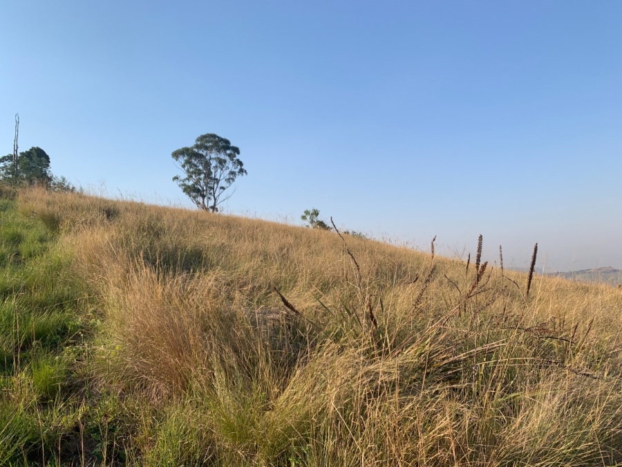 3 Bedroom Property for Sale in Shongweni KwaZulu-Natal