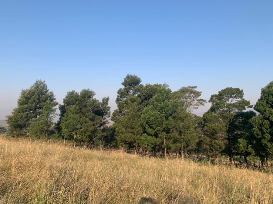 3 Bedroom Property for Sale in Shongweni KwaZulu-Natal