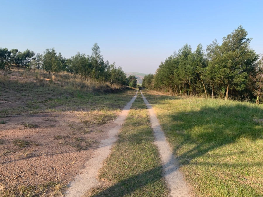 3 Bedroom Property for Sale in Shongweni KwaZulu-Natal