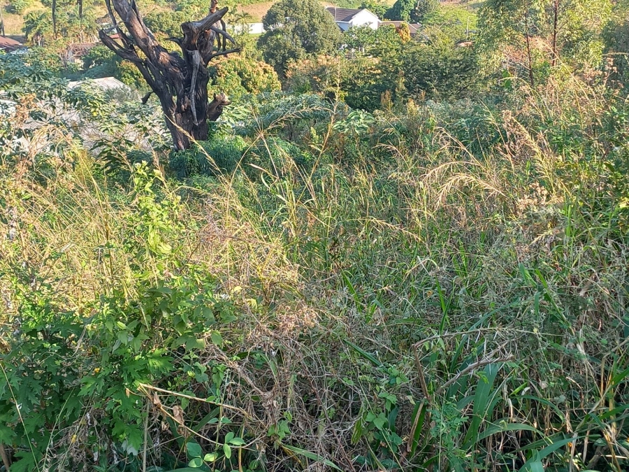  Bedroom Property for Sale in Albersville KwaZulu-Natal