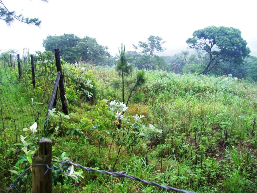  Bedroom Property for Sale in Ramsgate KwaZulu-Natal