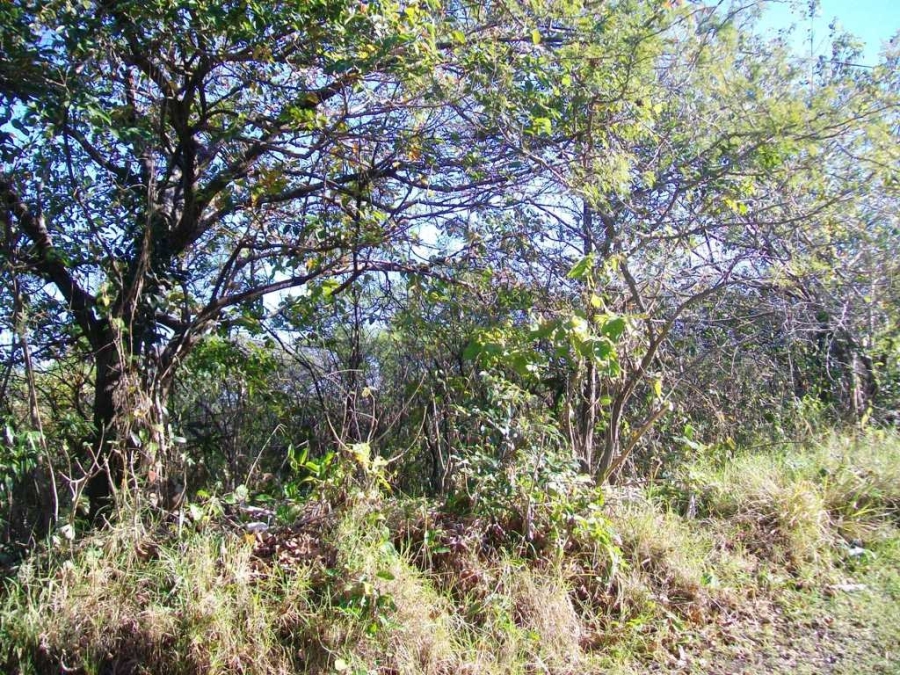  Bedroom Property for Sale in Southbroom KwaZulu-Natal