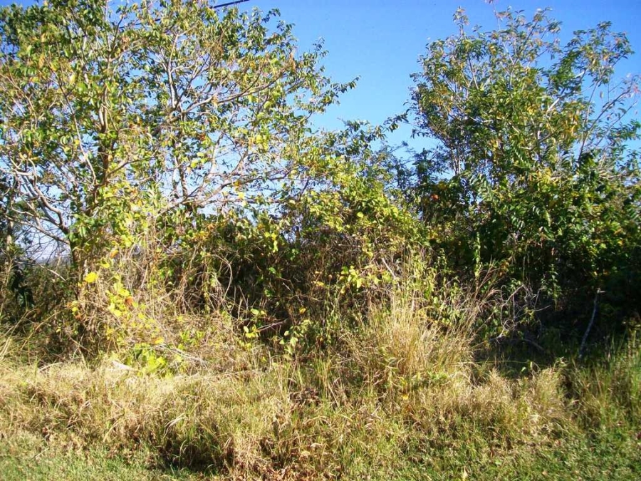  Bedroom Property for Sale in Southbroom KwaZulu-Natal