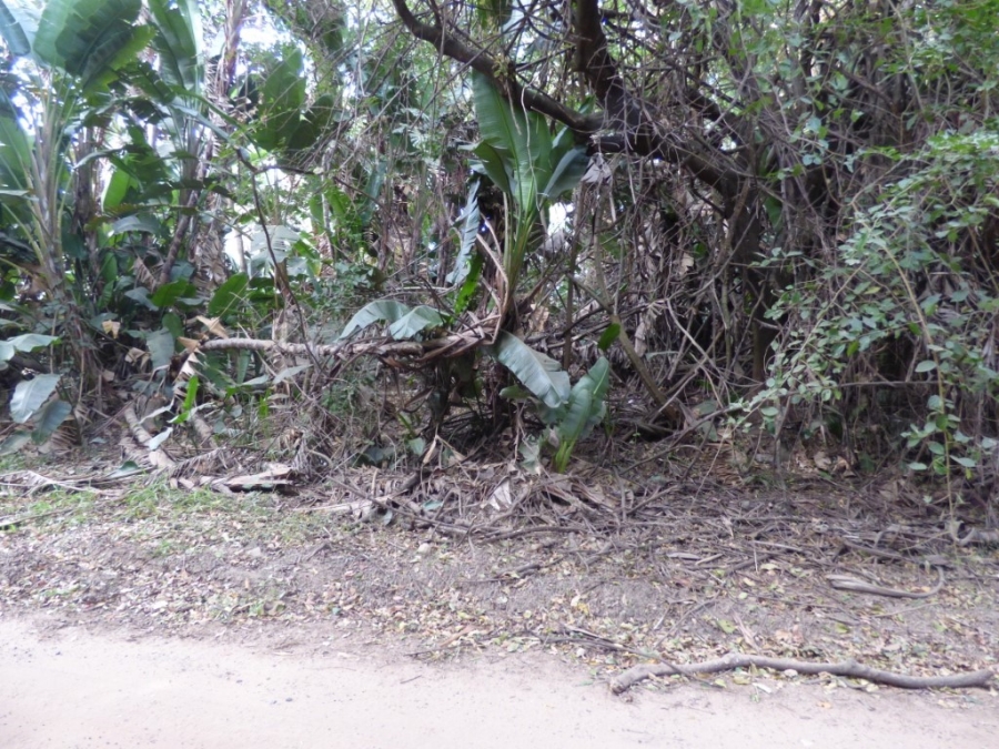  Bedroom Property for Sale in Trafalgar KwaZulu-Natal