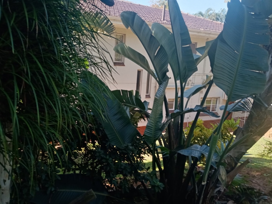 9 Bedroom Property for Sale in Umbilo KwaZulu-Natal