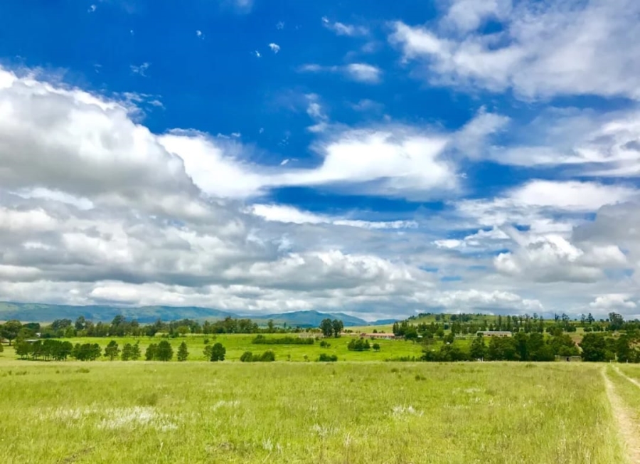 15 Bedroom Property for Sale in Vryheid Rural KwaZulu-Natal