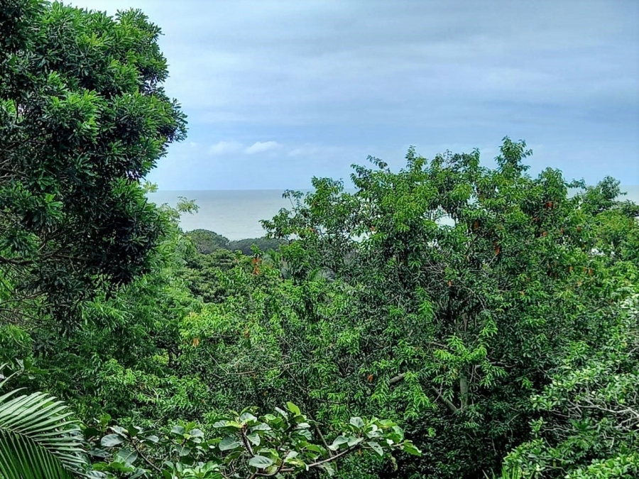3 Bedroom Property for Sale in Ramsgate KwaZulu-Natal