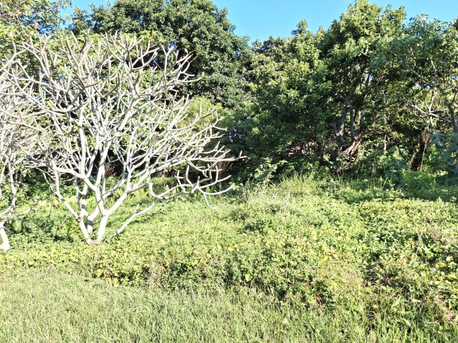  Bedroom Property for Sale in Port Edward KwaZulu-Natal