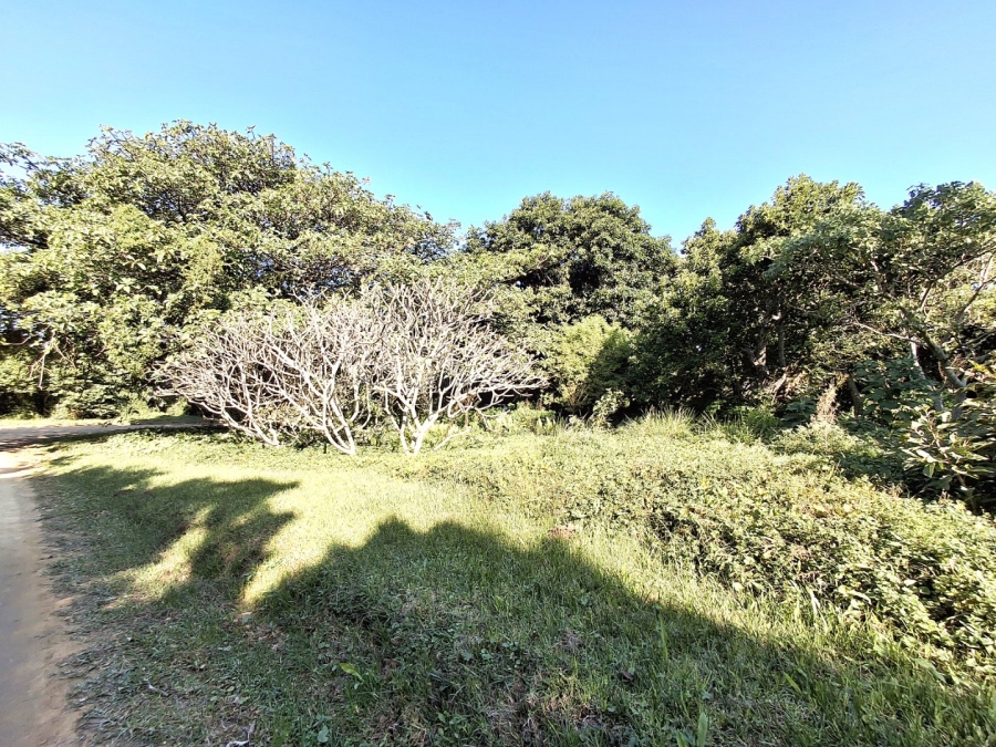  Bedroom Property for Sale in Port Edward KwaZulu-Natal