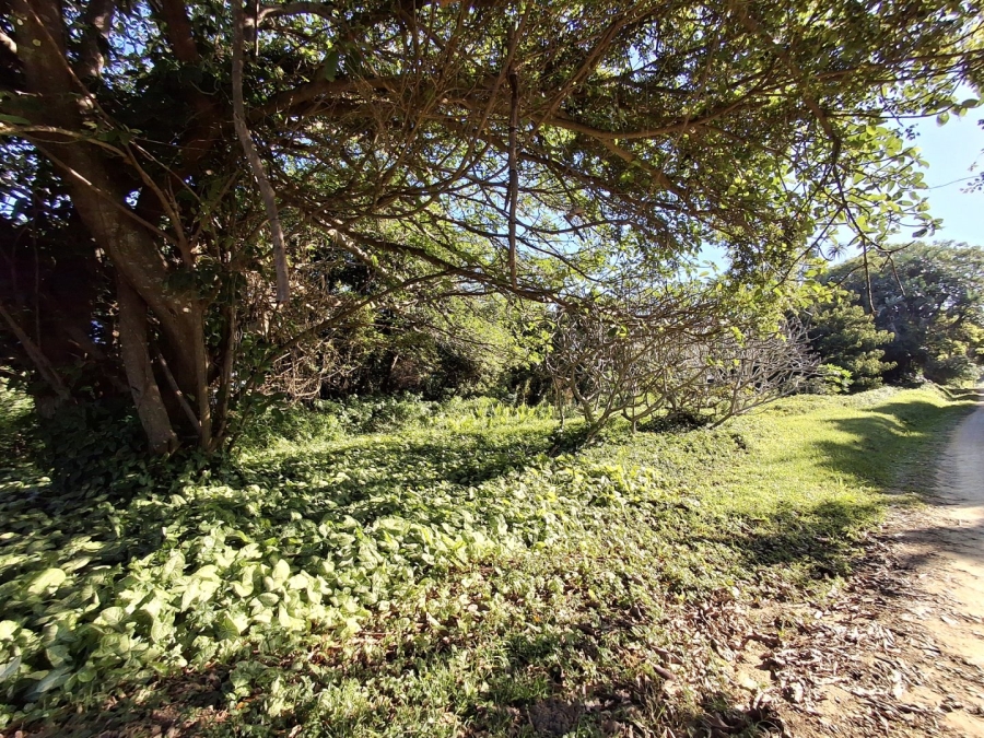  Bedroom Property for Sale in Port Edward KwaZulu-Natal