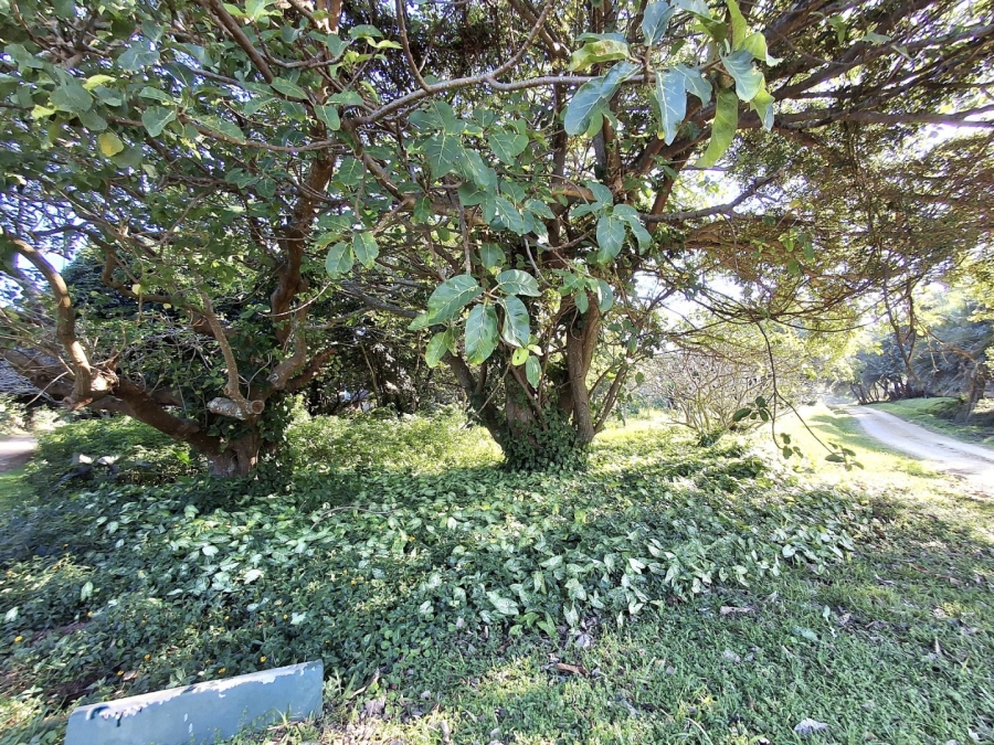  Bedroom Property for Sale in Port Edward KwaZulu-Natal