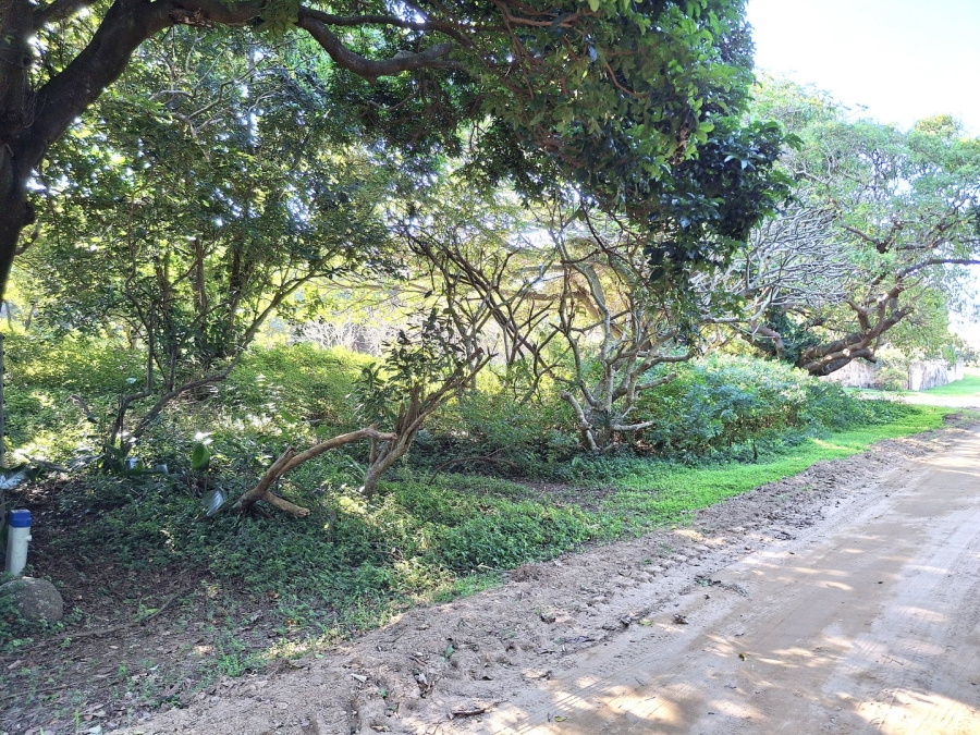  Bedroom Property for Sale in Port Edward KwaZulu-Natal