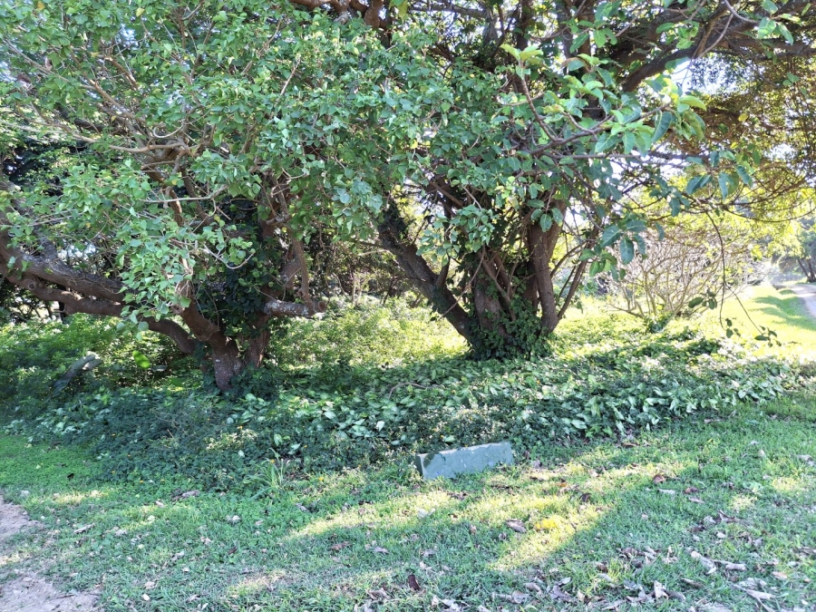  Bedroom Property for Sale in Port Edward KwaZulu-Natal