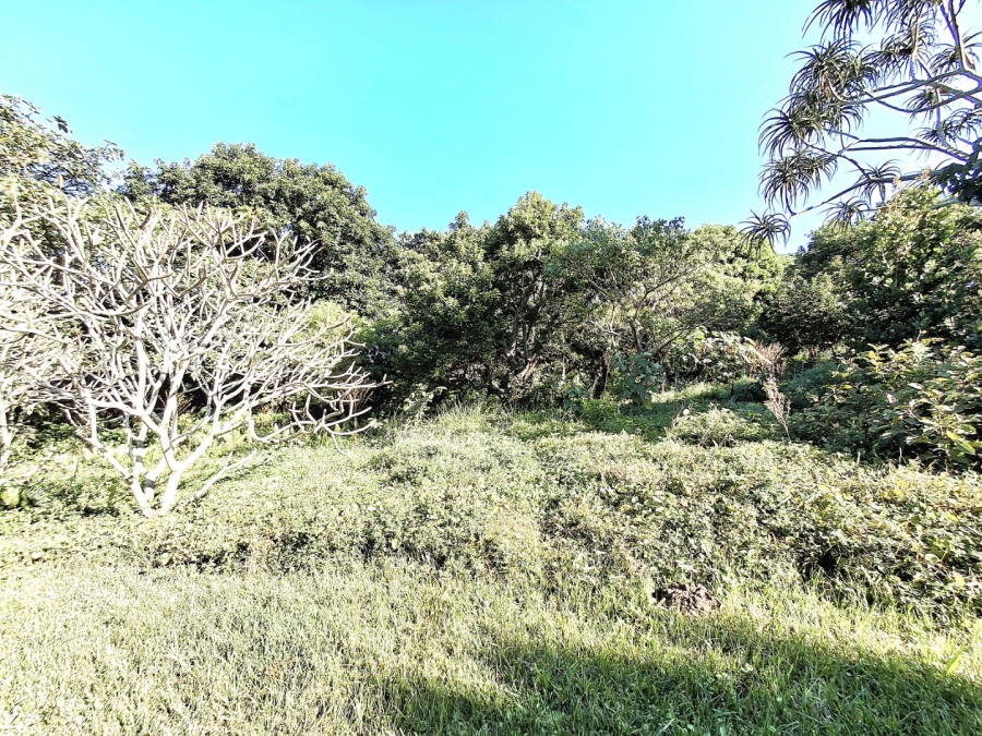  Bedroom Property for Sale in Port Edward KwaZulu-Natal