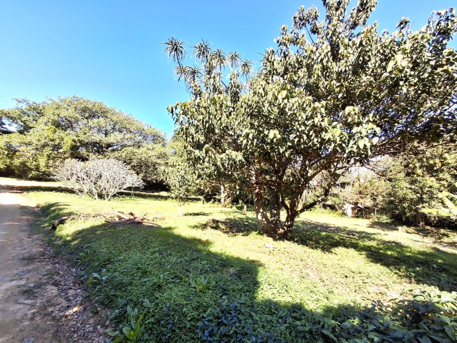 Commercial Property for Sale in Port Edward KwaZulu-Natal