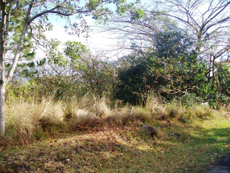  Bedroom Property for Sale in Southbroom KwaZulu-Natal