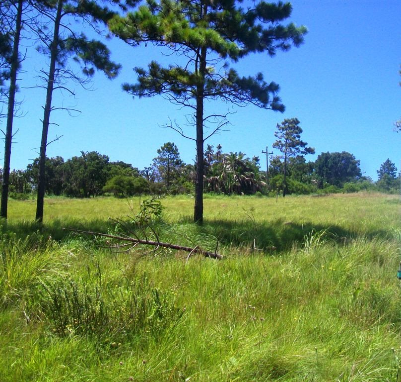  Bedroom Property for Sale in Palm Beach KwaZulu-Natal