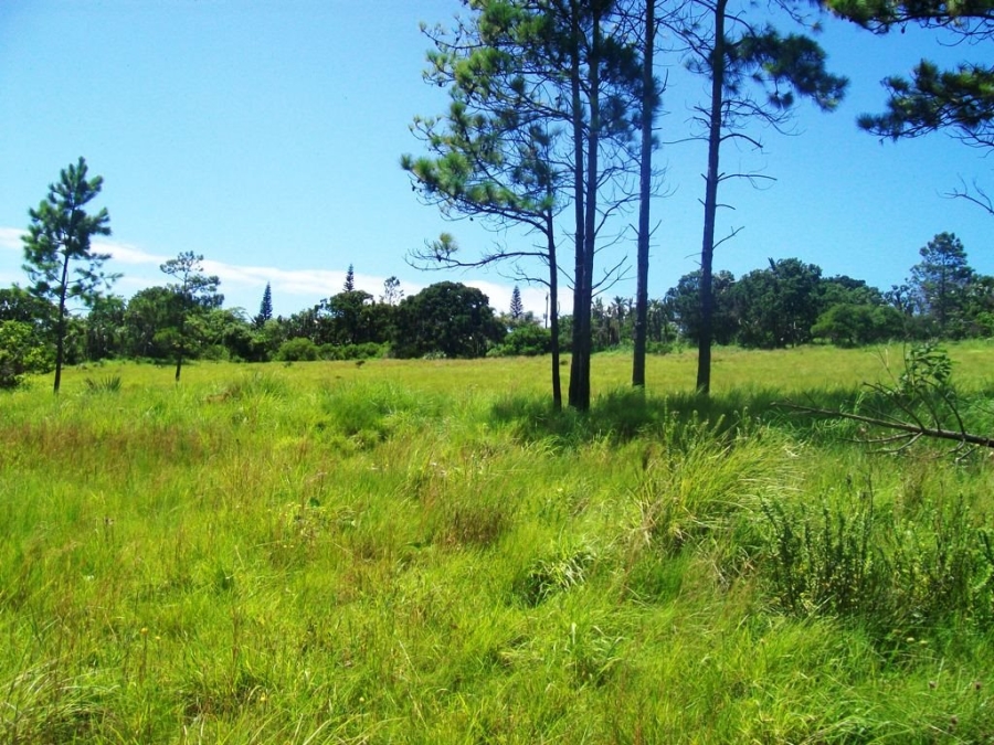  Bedroom Property for Sale in Palm Beach KwaZulu-Natal